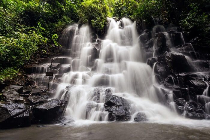 Kanto Lampo хүрхрээ, Bali Swing, Cretya Ubud image 1